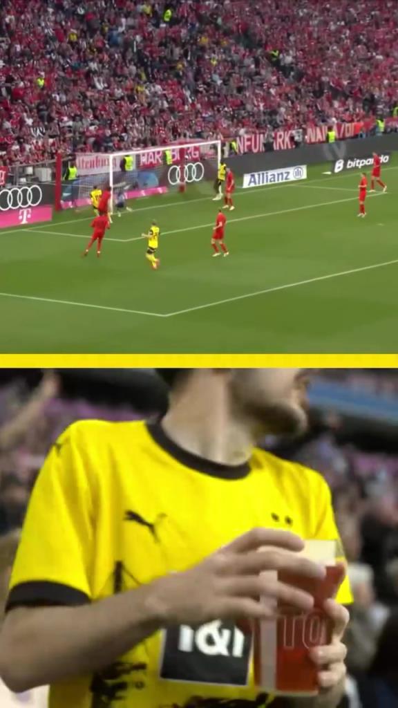 勇者無(wú)懼！這是真多特球迷！在拜仁球迷區(qū)一個(gè)人肆意慶祝！